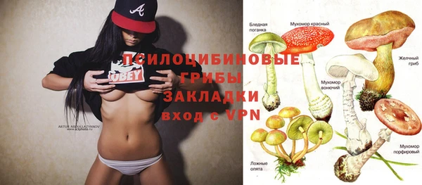 марки lsd Абаза