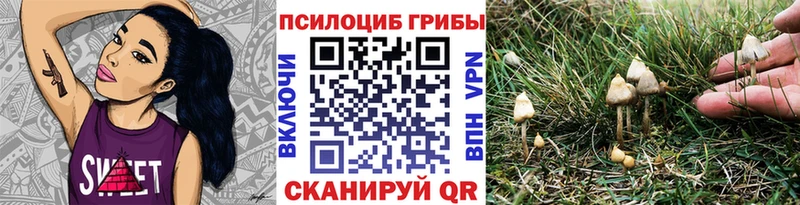 цена   Усть-Илимск  KRAKEN ССЫЛКА  Галлюциногенные грибы мицелий 